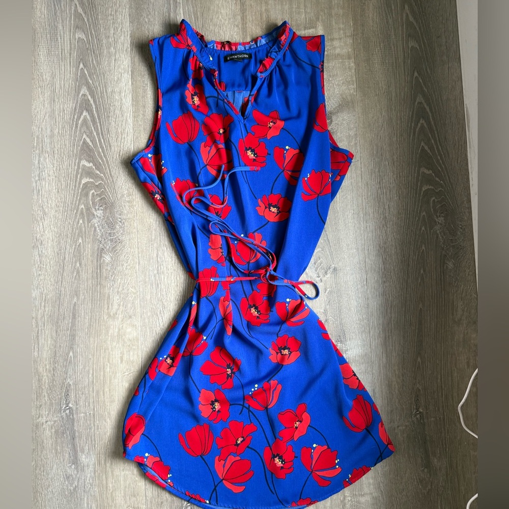 41 Hawthorn Royal Blue Dress with Red Floral Accents